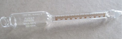 3156.jpg